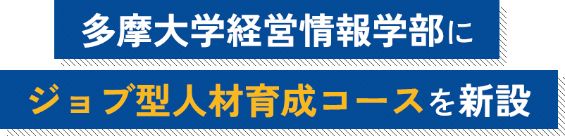 多摩大学経営情報学部にジョブ型人材育成コースを新設