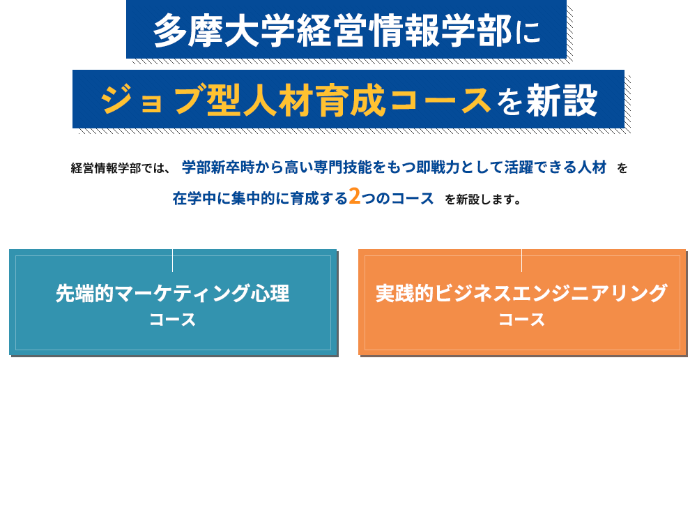 多摩大学経営情報学部にジョブ型人材育成コースを新設