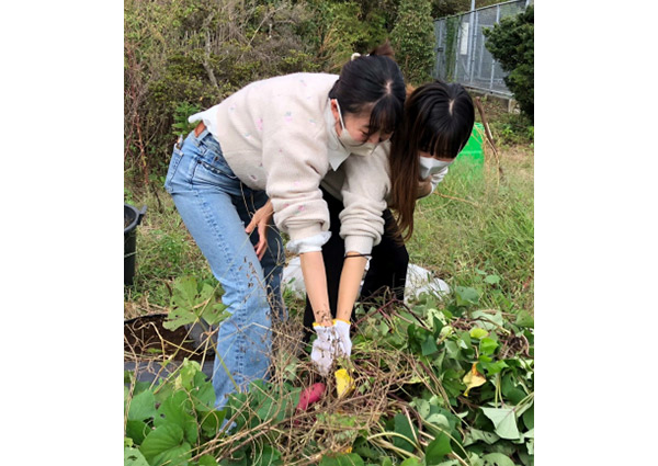 芋掘中の藤原さん(左)、米沢さん