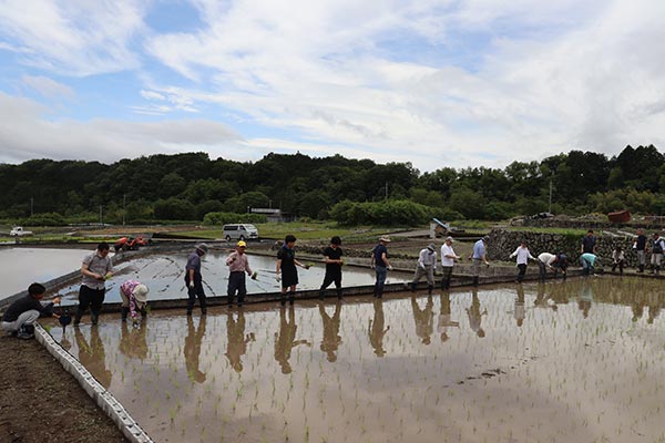 目標の1区画の田植えを達成