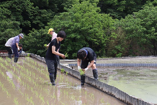 初めての田植え体験をする学生たち